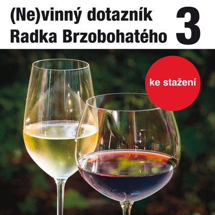 Audiokniha (Ne)vinný dotazník Radka Brzobohatého 3. - Radoslav Brzobohatý, Radoslav Brzobohatý, Helena Vondráčková