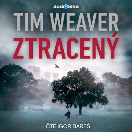 Audiokniha Ztracený - Igor Bareš, Tim Weaver