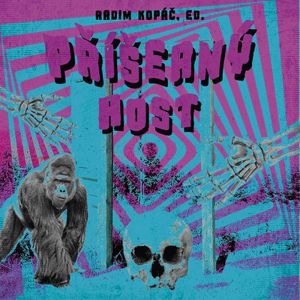 Audiokniha Příšerný host - Kajetán Písařovic, Radim Kopáč