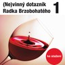 (Ne)vinný dotazník Radka Brzobohatého 1.