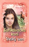 Zaříkávačka koní: Velký sen