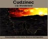 Cudzinec