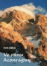 Ve stínu Aconcaguy