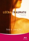 Léčba traumatu