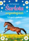 Šarlota a vysněný kůň 2: Nebezpečí v jízdárně