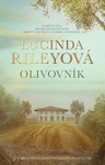 Olivovník