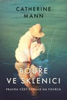 Bouře ve sklenici