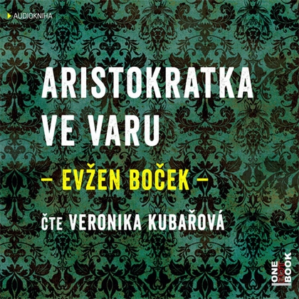 Audiokniha Aristokratka ve varu - Veronika Kubařová, Evžen Boček