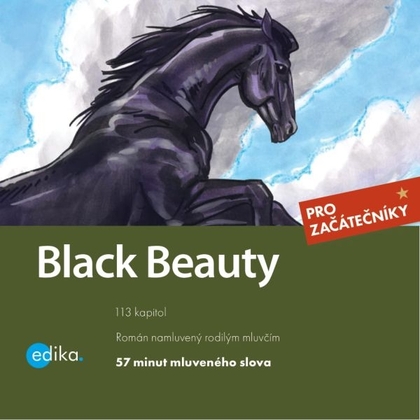Audiokniha Black Beauty - Theodore Christopher Vasilis, Dana Olšovská, Anna Sewellová