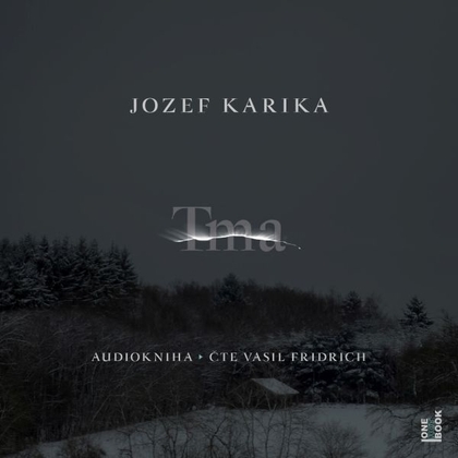 Audiokniha Tma - Vasil Fridrich, Jozef Karika