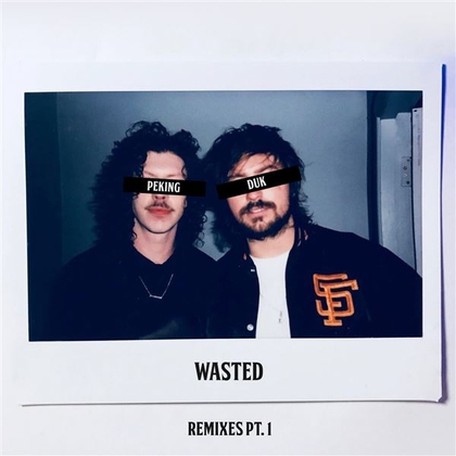 Wasted (Remixes Pt. 1)