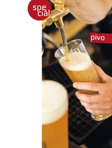 E-magazín Pivo 29.7.2013 - Czech Media Invest