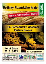 E-magazín XXL Plzeň 8/13 - deník METRO