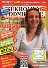 E-magazín Súkromný podnikateľ 9/2013 - Fantázia media, s. r. o.