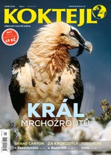 E-magazín Koktejl 1/2015 - Czech Press Group Koktejl