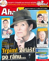 E-magazín AHA! Tv - 16.4.2015 - CZECH NEWS CENTER a. s.