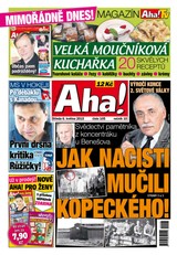E-magazín AHA! - 6.5.2015 - CZECH NEWS CENTER a. s.