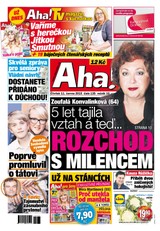 E-magazín AHA! - 11.6.2015 - CZECH NEWS CENTER a. s.