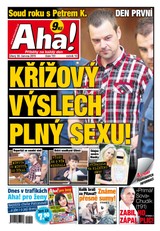E-magazín AHA! - 30.6.2015 - CZECH NEWS CENTER a. s.
