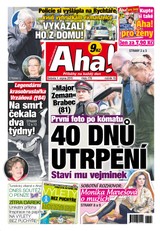 E-magazín AHA! - 1.8.2015 - CZECH NEWS CENTER a. s.