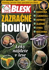 E-magazín Blesk Zázračné houby - 7.8.2015 - CZECH NEWS CENTER a. s.