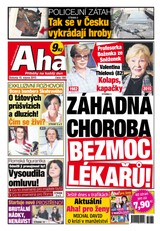 E-magazín AHA! - 15.8.2015 - CZECH NEWS CENTER a. s.