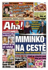 E-magazín AHA! - 20.8.2015 - CZECH NEWS CENTER a. s.