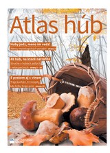 E-magazín Atlas húb - MAFRA Slovakia, a.s.