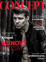 E-magazín INCONCEPT 11/2015 - Branded Works s.r.o.