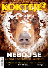E-magazín Koktejl 12/2015 - Czech Press Group Koktejl