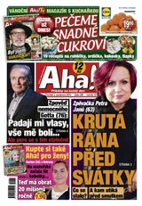 E-magazín AHA! - 3.12.2015 - CZECH NEWS CENTER a. s.