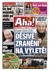 E-magazín AHA! - 5.1.2016 - CZECH NEWS CENTER a. s.