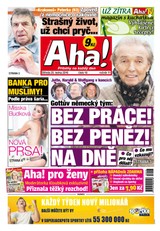 E-magazín AHA! - 20.1.2016 - CZECH NEWS CENTER a. s.
