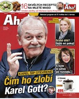 E-magazín AHA! Tv - 26.5.2016 - CZECH NEWS CENTER a. s.