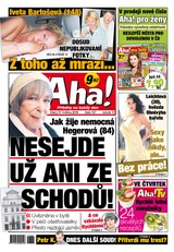 E-magazín AHA! - 31.5.2016 - CZECH NEWS CENTER a. s.