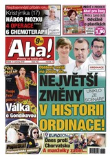 E-magazín AHA! - 17.6.2016 - CZECH NEWS CENTER a. s.