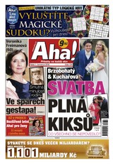 E-magazín AHA! - 1.7.2016 - CZECH NEWS CENTER a. s.