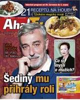 E-magazín AHA! Tv - 28.7.2016 - CZECH NEWS CENTER a. s.