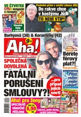 E-magazín AHA! - 6.12.2016 - CZECH NEWS CENTER a. s.