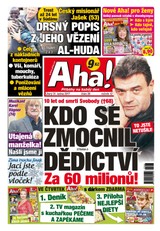 E-magazín AHA! - 31.1.2017 - CZECH NEWS CENTER a. s.