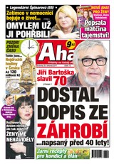 E-magazín AHA! - 25.3.2017 - CZECH NEWS CENTER a. s.