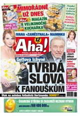 E-magazín AHA! - 12.4.2017 - CZECH NEWS CENTER a. s.