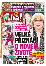 E-magazín AHA! - 15.4.2017 - CZECH NEWS CENTER a. s.