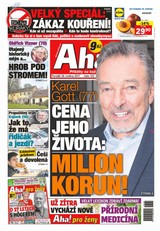 E-magazín AHA! - 29.5.2017 - CZECH NEWS CENTER a. s.