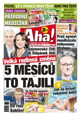 E-magazín AHA! - 30.5.2017 - CZECH NEWS CENTER a. s.