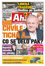 E-magazín AHA! - 9.6.2017 - CZECH NEWS CENTER a. s.