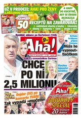 E-magazín AHA! - 13.6.2017 - CZECH NEWS CENTER a. s.