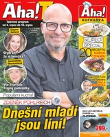 E-magazín AHA! Tv - 3.8.2017 - CZECH NEWS CENTER a. s.