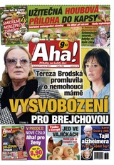 E-magazín AHA! - 5.8.2017 - CZECH NEWS CENTER a. s.