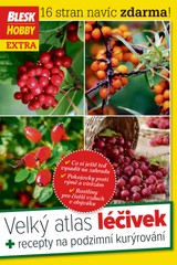 E-magazín Příloha Blesk Hobby - 10/2017 - CZECH NEWS CENTER a. s.